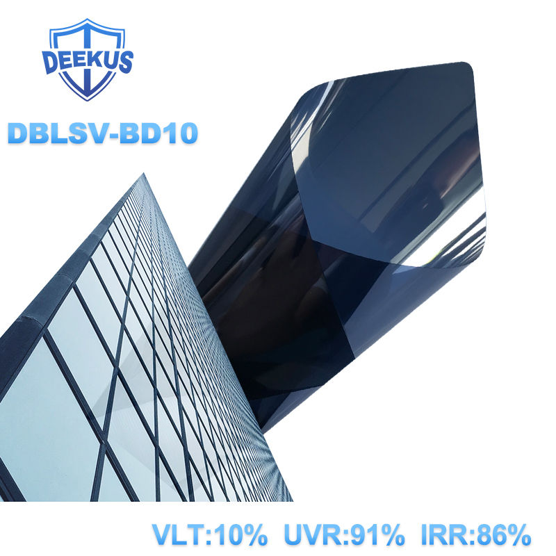 DBLSV-BD10