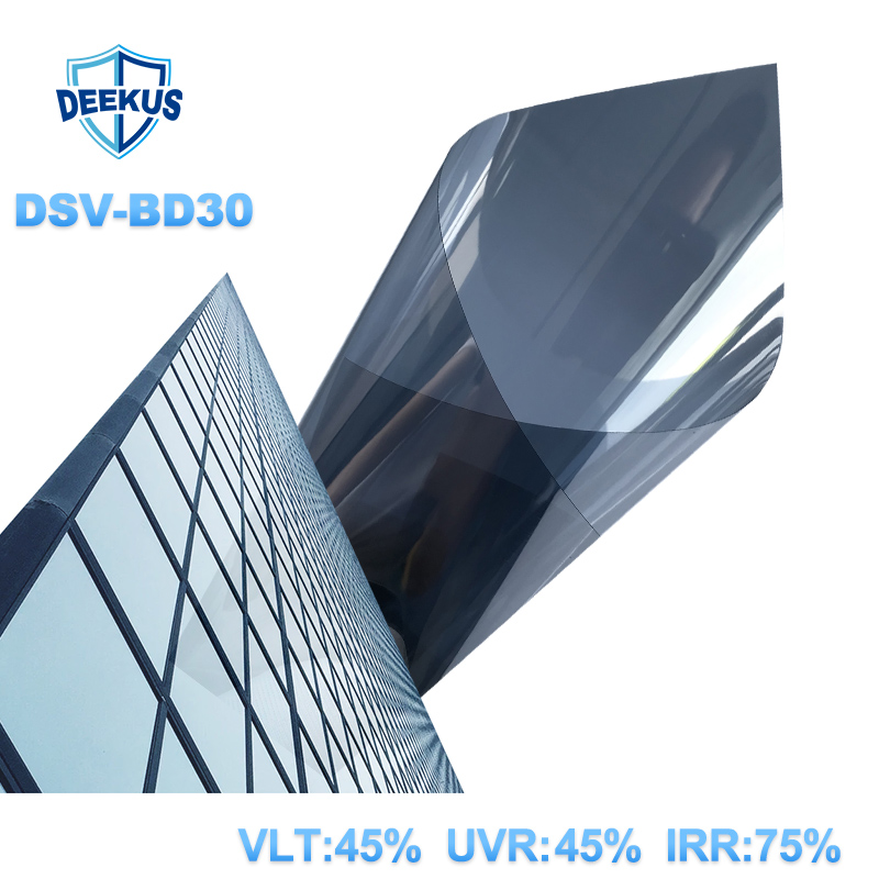 DSV-BD30